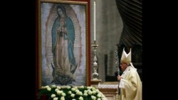 Anuncia el papa que el 13 de febrero visitará a la Guadalupana