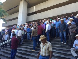 Productores Agrícolas exigen se cumplan promesas de pago al maíz