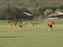 Dorados dará a conocer éste martes a sus refuerzos