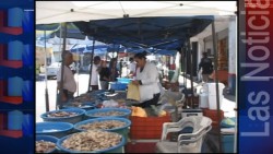 Changueras inconformes con la próxima apertura de una tienda de conveniencia