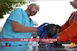 Todo un éxito el primer Garrapatón