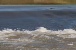 Garantiza CONAGUA abasto de agua para riego en el presente ciclo