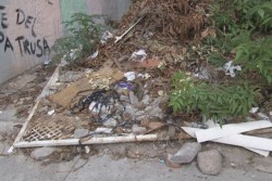 Piden que limpien lote baldio, en la colonia Popular