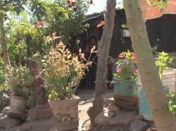 Familias de la colonia Bicentenario sufren de frío, piden ayuda de la sociedad