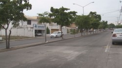 Cubre zanja brigada de bache por la calle de Ciudades Hermanas