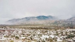 Sonora declara alerta meteorológica en 51 municipios tras nevadas