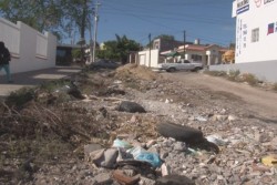 Pésimas condiciones de la calle Sauce