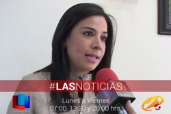 Buscarán aterrice pronto el empleo temporal