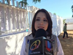 Sinaloa solicitará suspensión de venta de pirotecnia