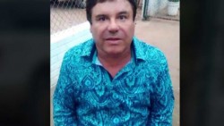 Rechaza Rector de la UAS que área de la universidad fue lugar de encuentro de el chapo y kate