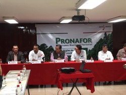 Dan a conocer Programa Nacional de Reforestación para el 2016