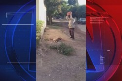 Exigen al Ayuntamiento cumpla el reglamento para quien maltrate o asesina a los animales