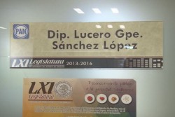 Deben comprobarse dichos contra diputada.