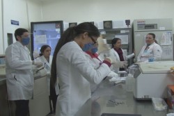 Exsanguíneo transfusión, ¿cuando hay que hacerlo?