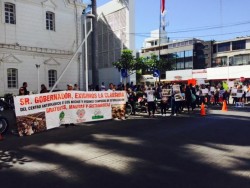 Integrantes de distintas fundaciones exigen que se ponga freno al maltrato animal