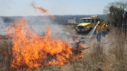 Incendios forestales en México disminuyen 28.47% en el 2015