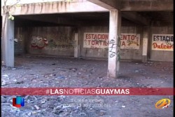 Ecología Municipal limpia predios abandonados