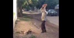 Hay temor en la colonia Toledo Corro después de que una persona mata a un perro de manera brutal