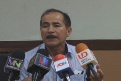 Baja la incidencia del pulgón amarillo por el frio