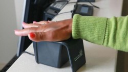 Prodecon informa de robo de identidad multimillonario
