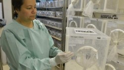 SSA tiene registro de 15 casos de zika en México