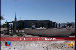 Afirman que se encuentran en el abandono de las autoridades