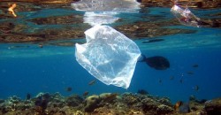 Año 2050: más plástico que peces en el mar