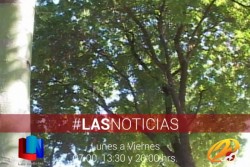 Exhortan a cuidar el medio ambiente