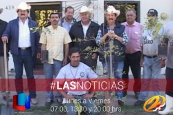 Plantan más de 10 arboles