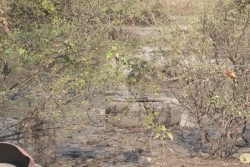 Luce ahora sin agua pero lleno de basura, lote en la Miguel de la Madrid
