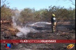 Sofocan incendio al Poniente de Guaymas