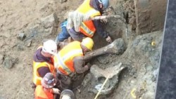 Encuentran huesos de mamut en Oregon