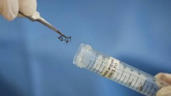 OMS decidirá si brote de zika es emergencia sanitaria internacional