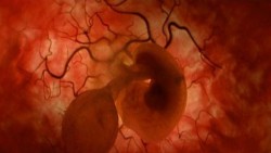 Reino Unido autoriza la modificación genética de embriones humanos