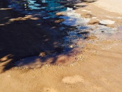 Cinco dias una fuga de agua en la Calle Alfonso Cravioto, de la colonia Pemex