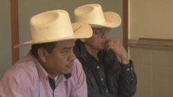 Llegan formatos pero no las nóminas de productores maiceros
