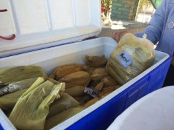 Los tamales son el platillo para este 2 de febrero