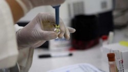 Brasil confirma infección de zika a través de transfusión de sangre