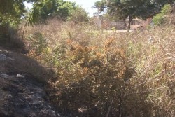 Piden regularizar recolección de basura en fracc. Santa Rosa