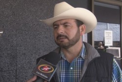 Escasean pasturas para ganado en la zona alta de Culiacán