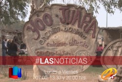 Invitan a familias a disfrutar del YO'O JUARA