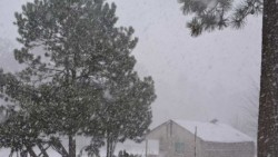 Emergencia extraordinaria en 23 estados, por heladas
