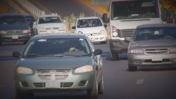Contratan seguro de vehículos solo para tramites de placas