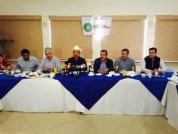 Anuncian la Jornada Estatal contra el HLB, será el 11 y 12 de febrero