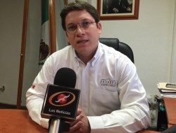 No se ha detectado uso de animales en los circos.