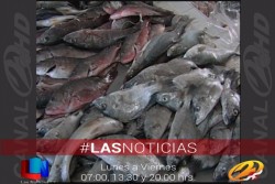 Listas pescaderias para la cuaresma