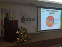 El Seguro Social la institución con más quejas ante la Comisión de Arbitraje Médico del Estado de Sinaloa