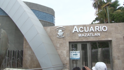 Ahora sí,  Tiburonario se terminará para verano!