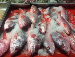 Esperan alza en las ventas de pollo, pescado y marisco.