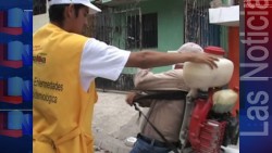 Reforzarán acciones contra Dengue, Chikungunya y Zika